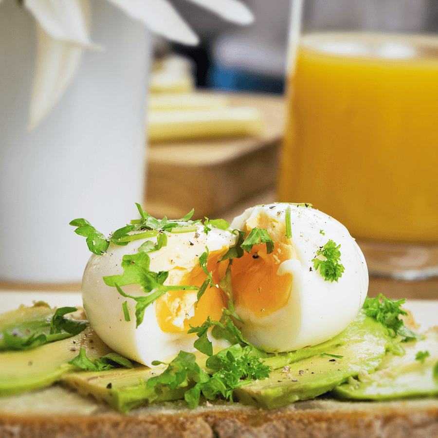 BEEP SINGING EGG TIMER DARK BLUE - DYKE & DEAN