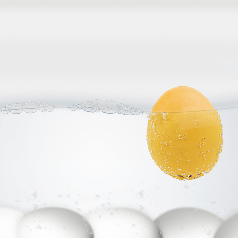 BEEP SINGING EGG TIMER TURQUOISE - DYKE & DEAN