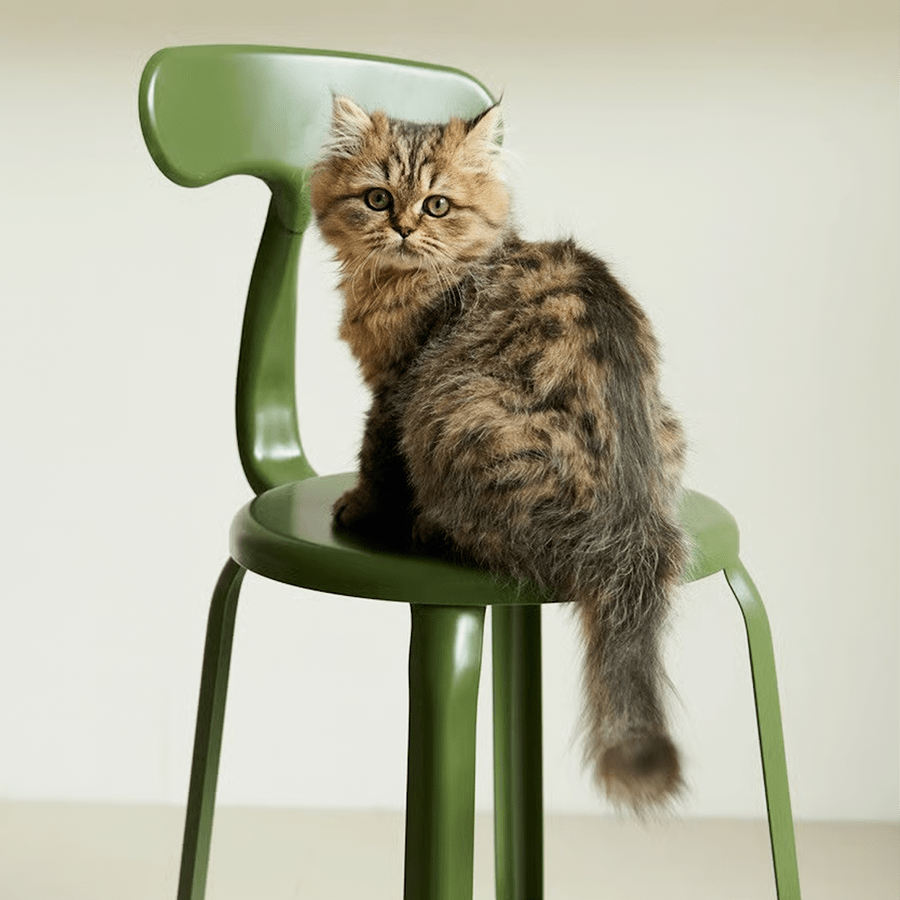 CHAISES NICOLLE METAL CHAIR 60 - DYKE & DEAN