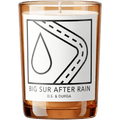 DS&DURGA BIG SUR AFTER RAIN CANDLE - DYKE & DEAN