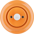 PORCELAIN WALL MOTION SENSOR CARROT - DYKE & DEAN