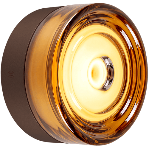 ROUND WATERPROOF BRONZE WALL CEILING SCONCE AMBER LIGHT - DYKE & DEAN