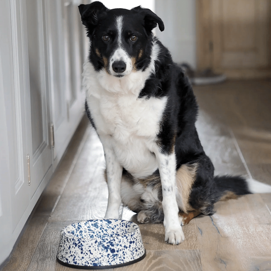 SPLATTERWARE ENAMEL DOG BOWL BLACK & WHITE - DYKE & DEAN