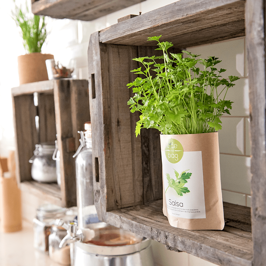 GROW BAG PEPPERMINT - DYKE & DEAN