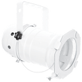WHITE FAT PAR30 E27 SPOT LIGHTS - DYKE & DEAN